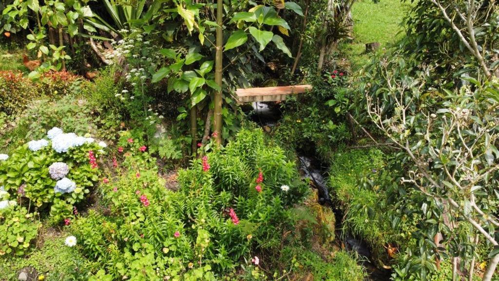 Malokas Agua Vida & Naturaleza Otel Villa de Leyva Dış mekan fotoğraf